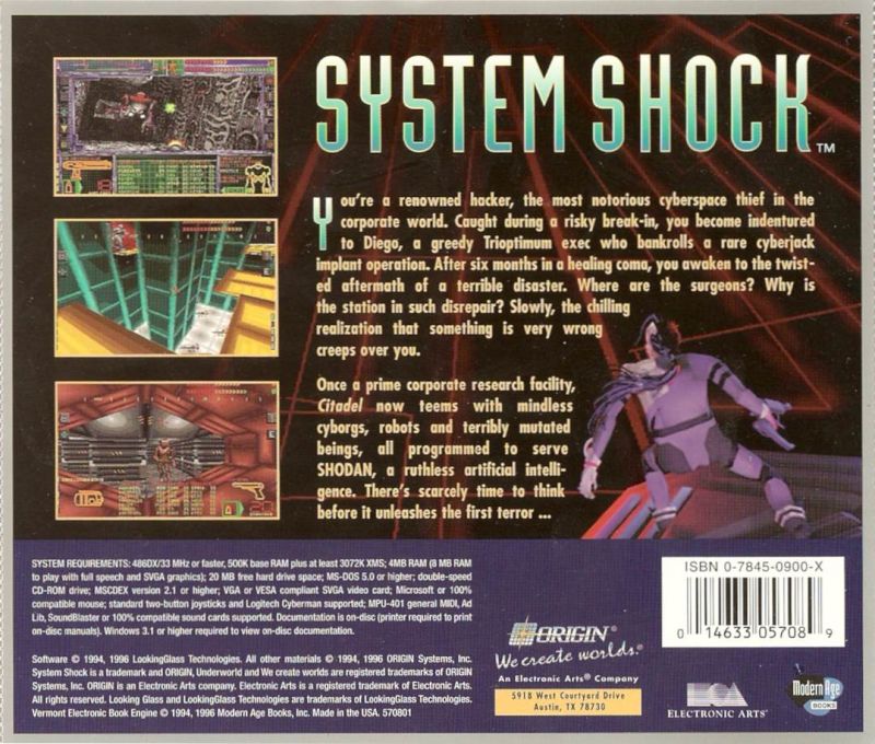 System Shock interface